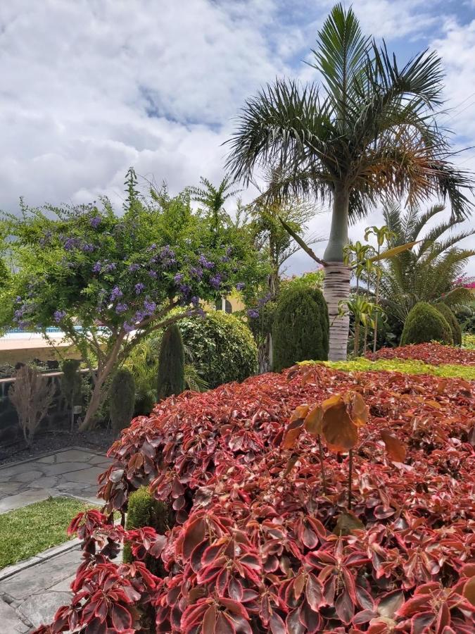 Villa Mi Jardin La La Frontera Exterior foto