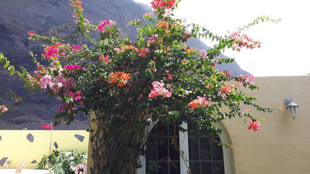 Villa Mi Jardin La La Frontera Exterior foto